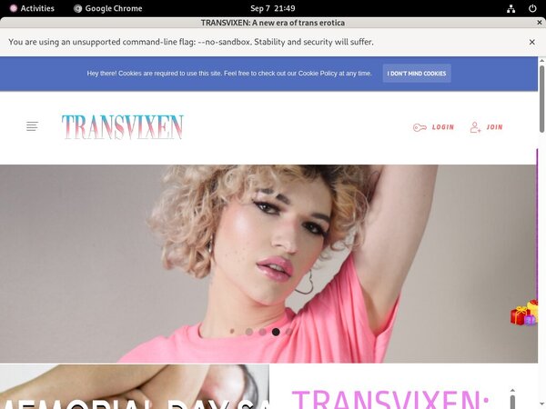 Transvixen.com Payment