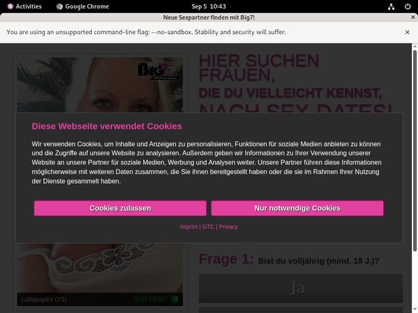 User Pass YourSecretDream