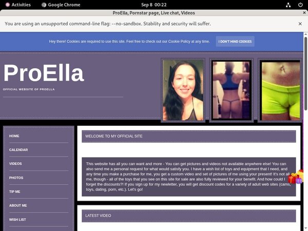 Using Paypal ProElla