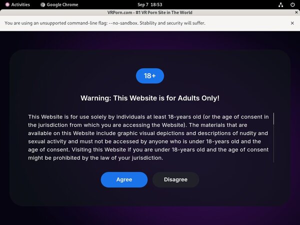 VR Porn Promo Id