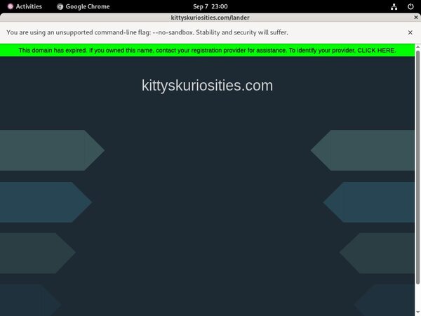 Who Is Kitty's Kuriosities