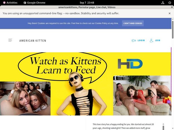 Americankitten.com Xnxx