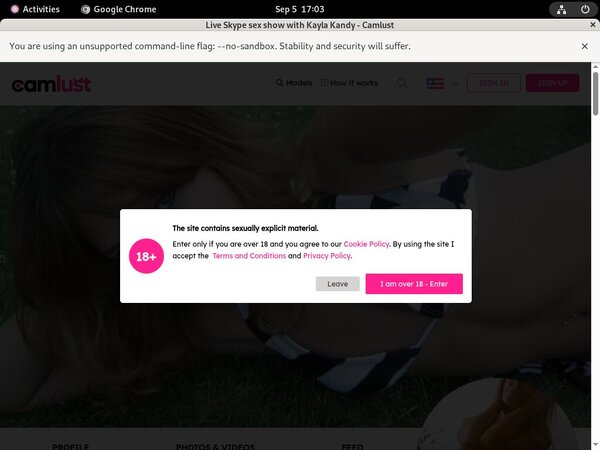 Free Camlust.com Premium Accounts