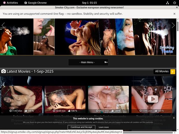 Smoke City Full Site Smoke City Full Site